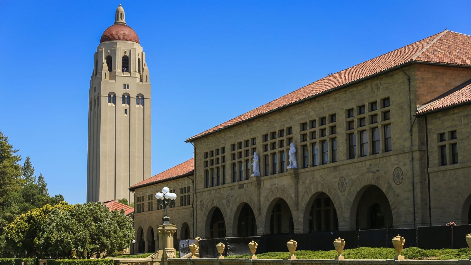 Stanford University